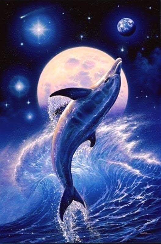 Dolphin