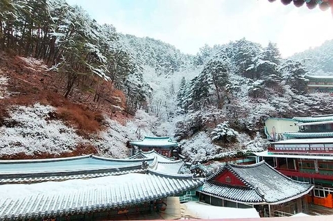 snow, Roof壁纸