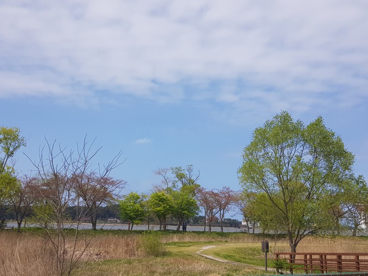 경치