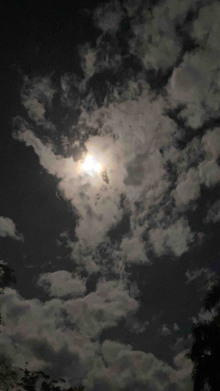 noche