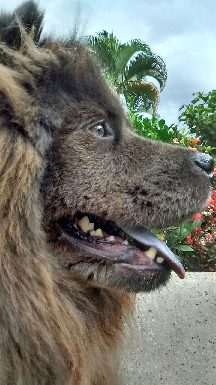looking the horizon