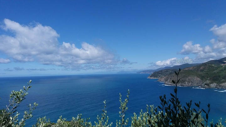Sea