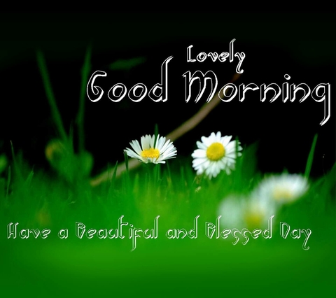 good morning