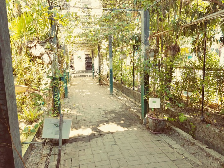 park