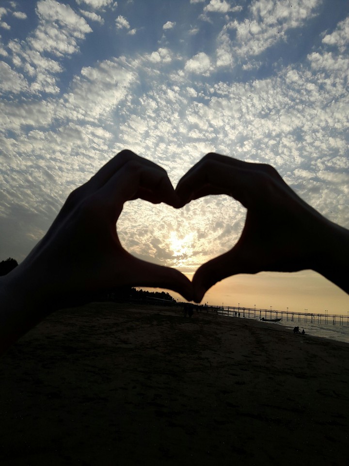 heart