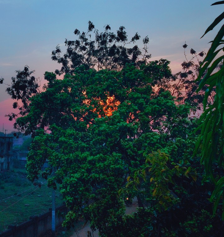 #sunset