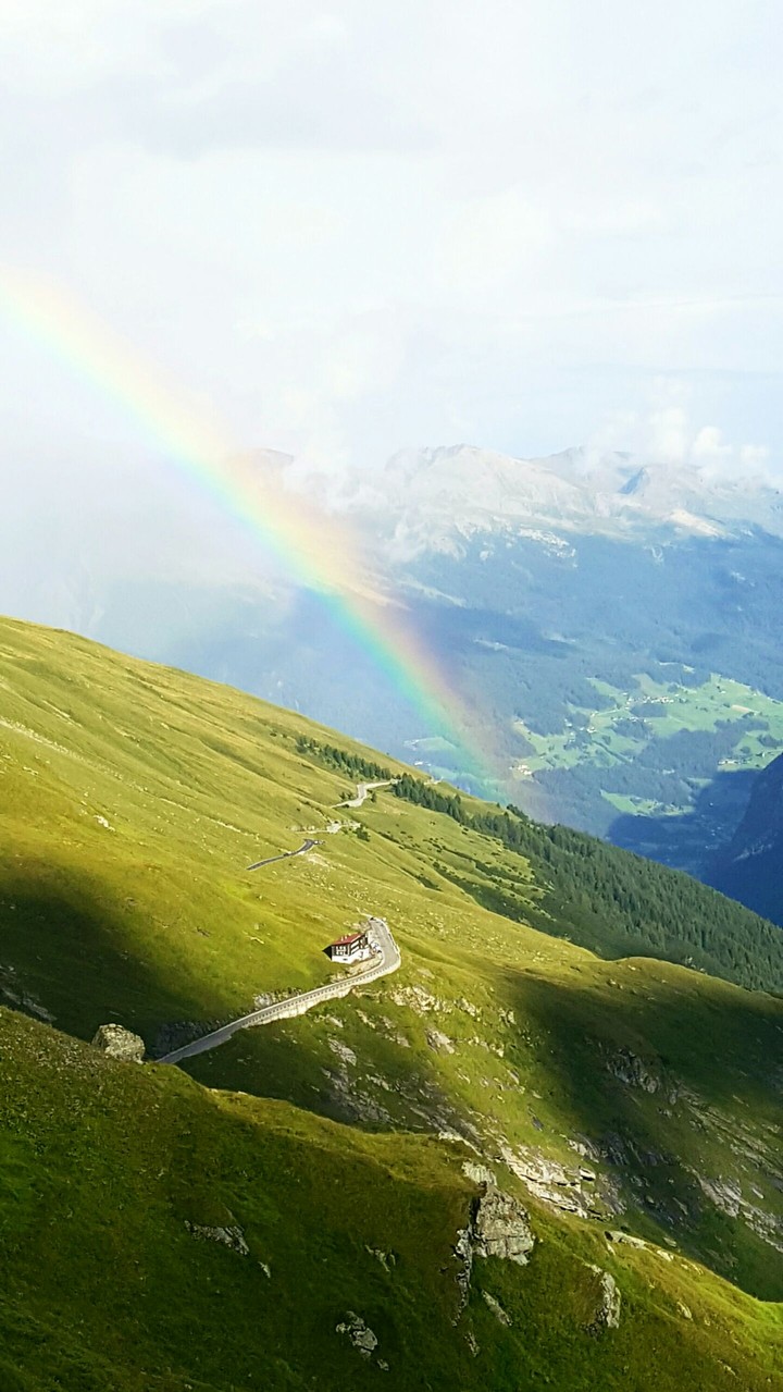 Rainbow 
