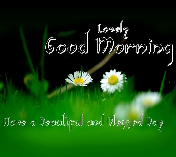good morning