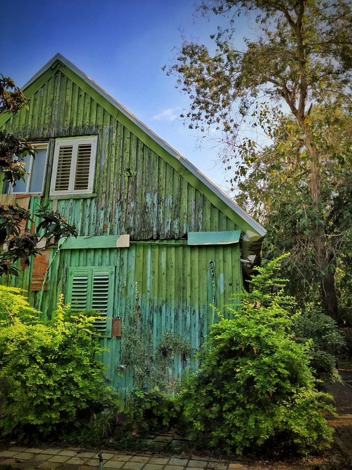 The green house
