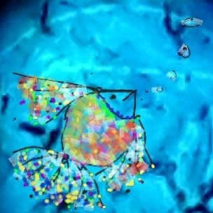 poisson couleurs