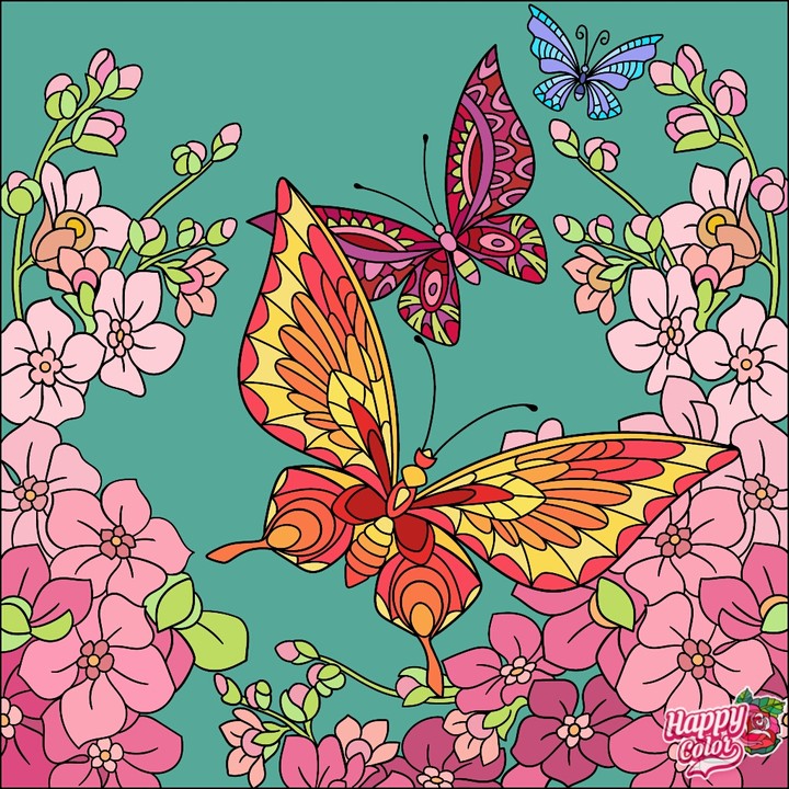 butterfly
