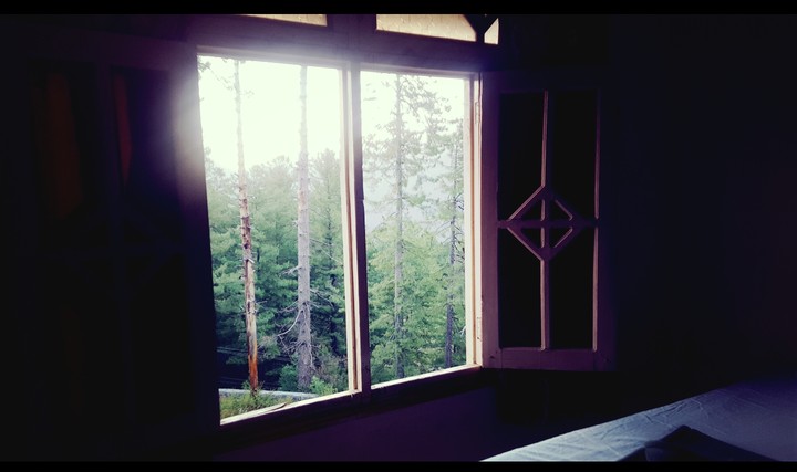 window