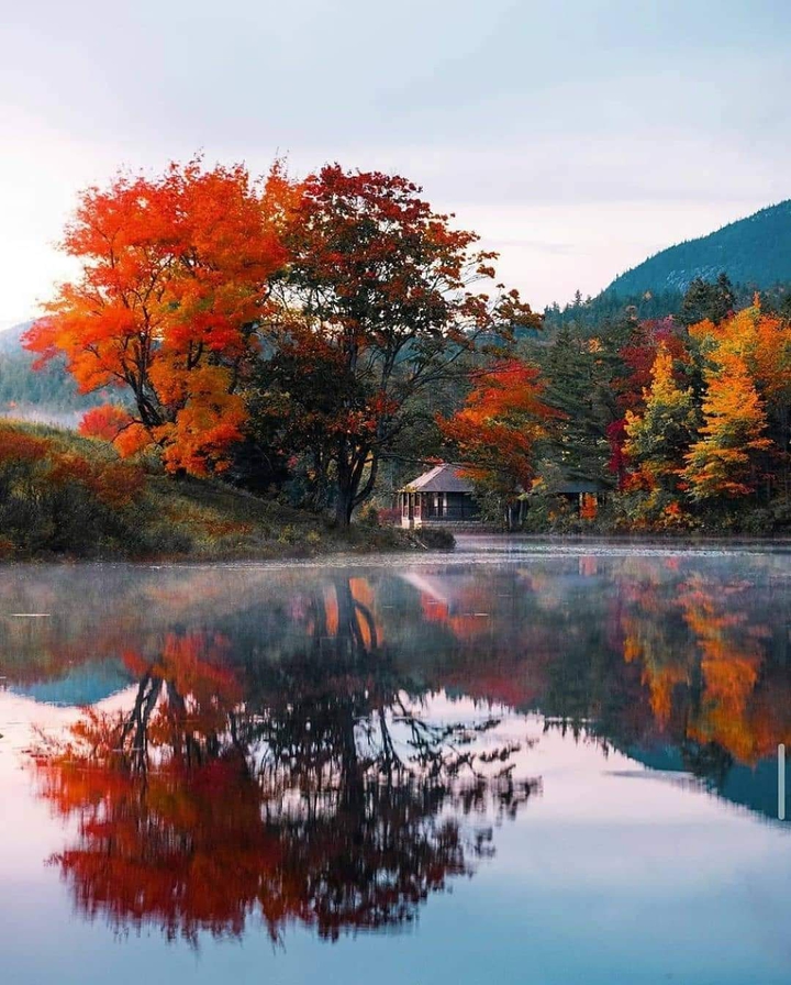 осень