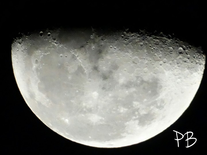 Moon Love