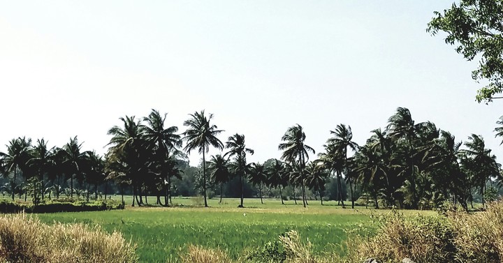 Kerala