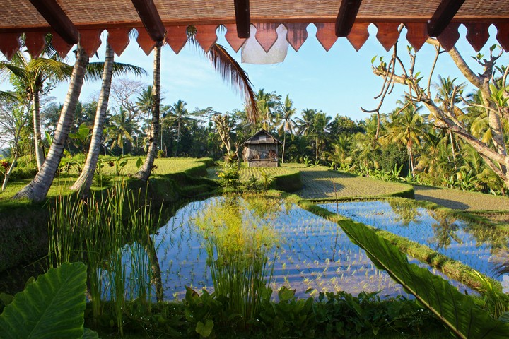 Bali