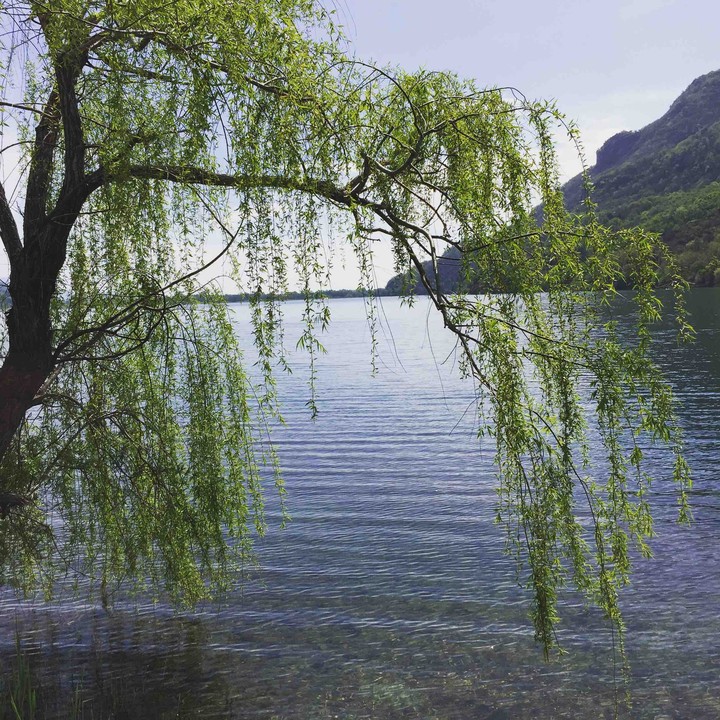 Lago di Mergozzo