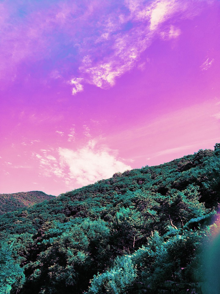 Purple Sunset