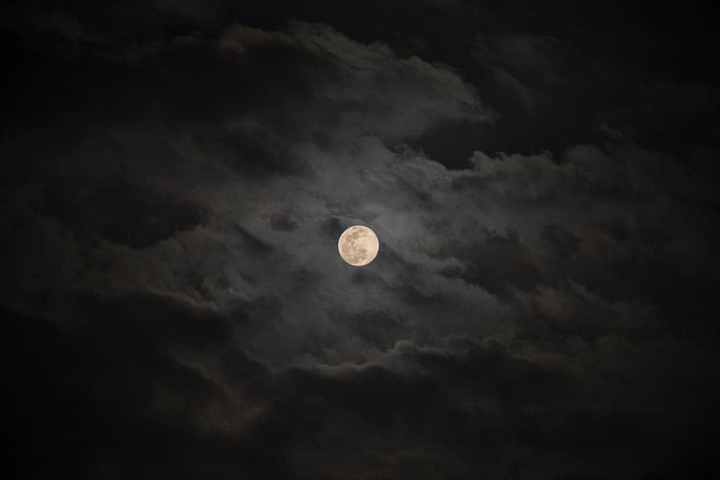 the moon