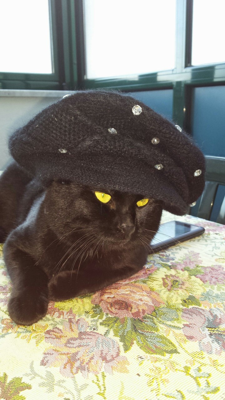 felix