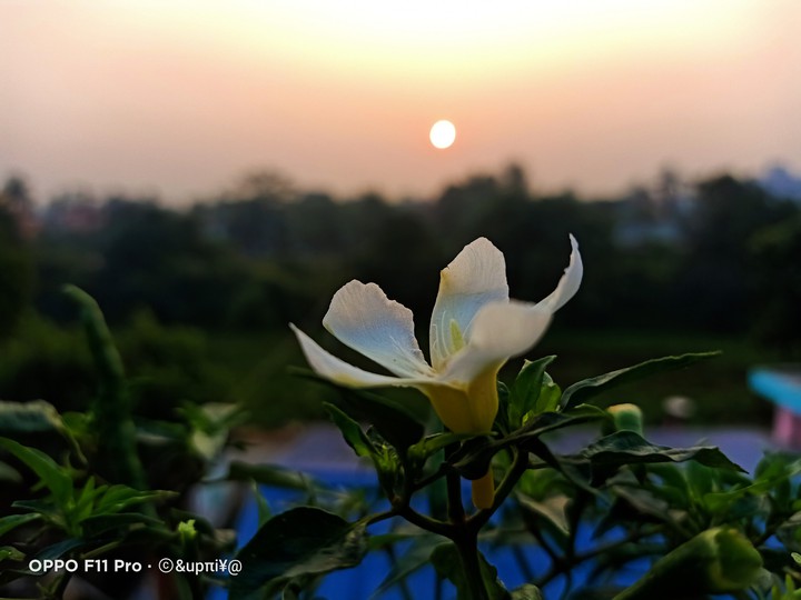 sunrise ?