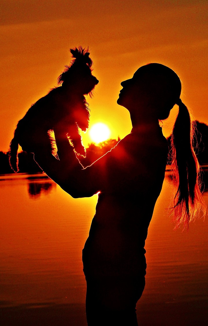 With Doggo