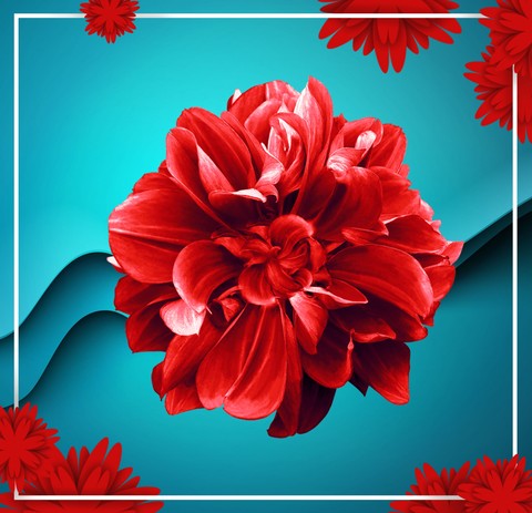רקעים bestoftheday, Art
