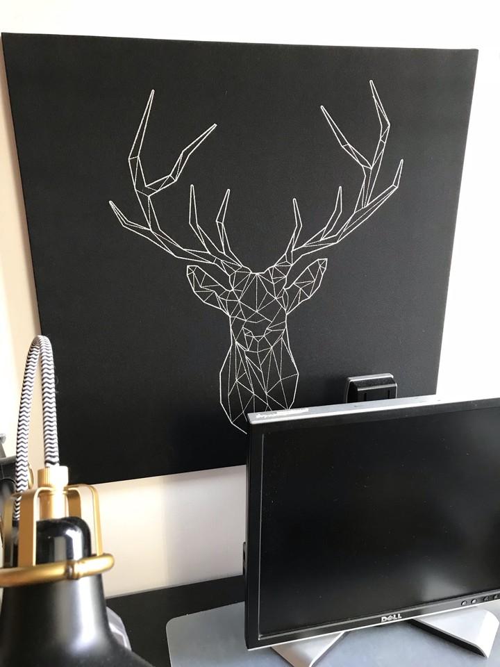 Deer 