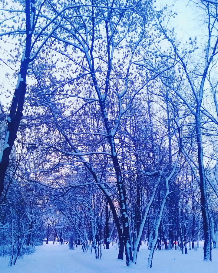 winter