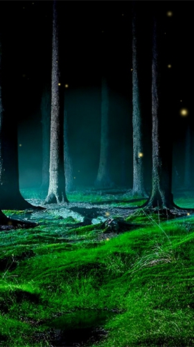 Spooky Dark Forest HD