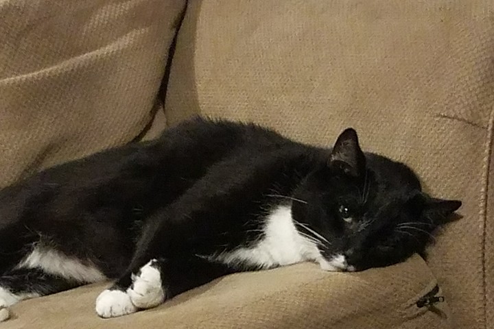 Lounging about