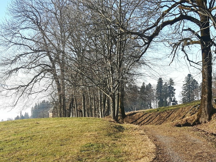 A long path