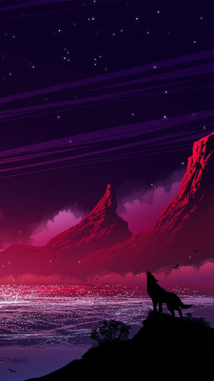 ✯~•°☆•✽°•✦•°~✯~°•✦•°✽•☆°•~✯
