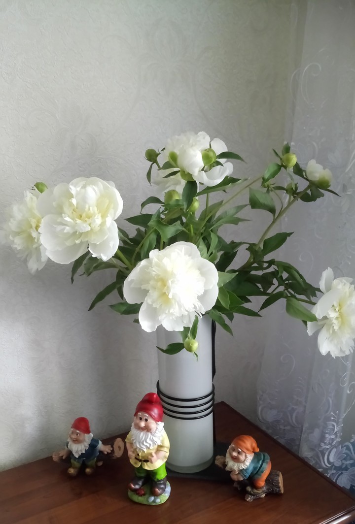 цветы