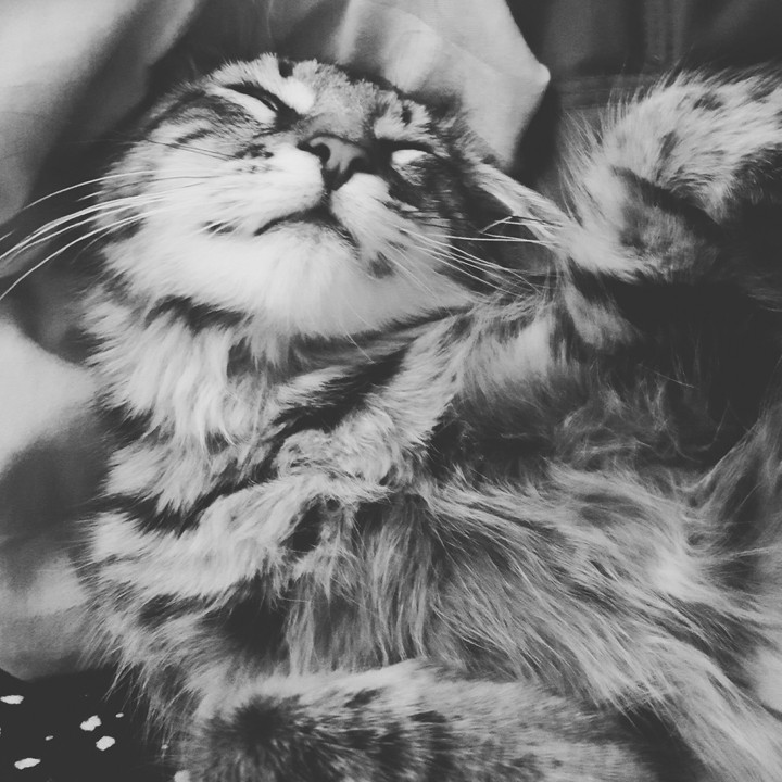 Sleepιng Niki