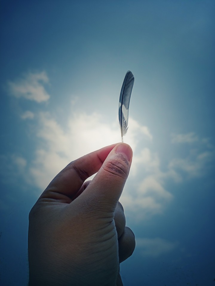 Feathers
