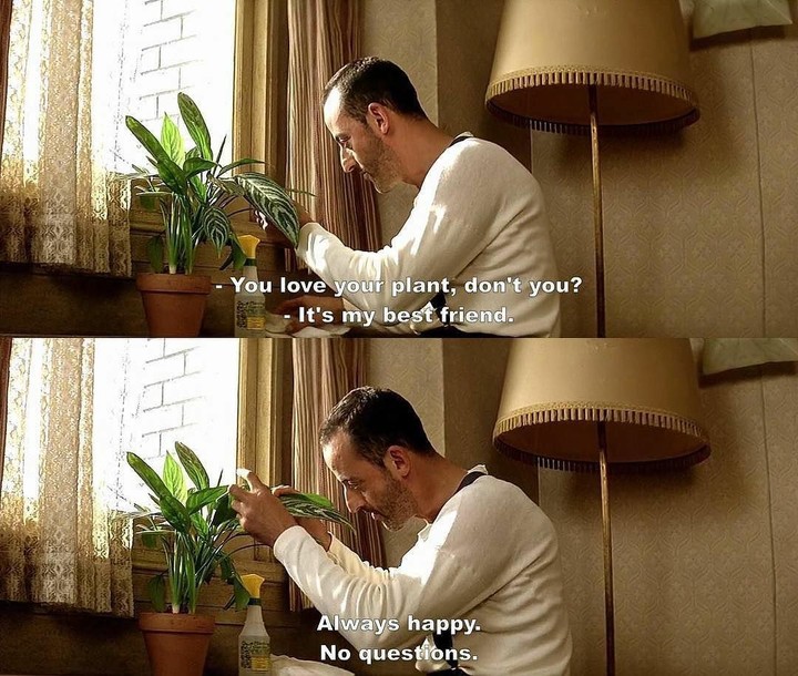 Movie dialogue