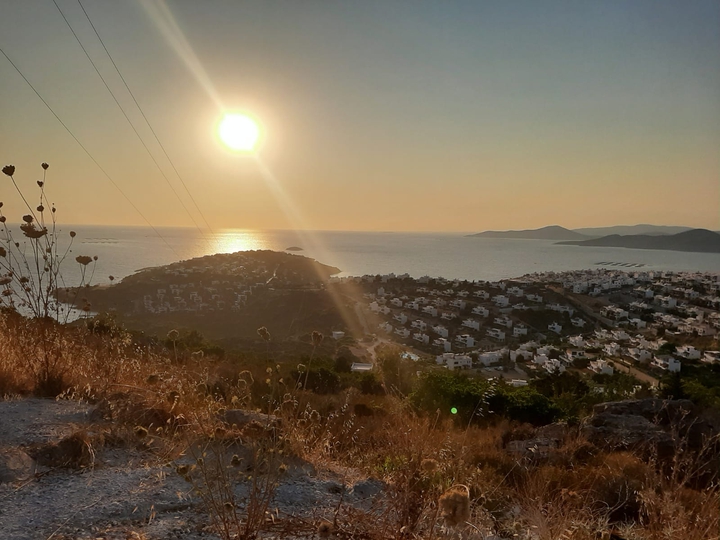 Ausblick