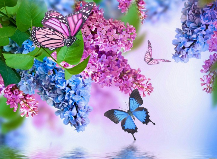 Glimpse of Nature