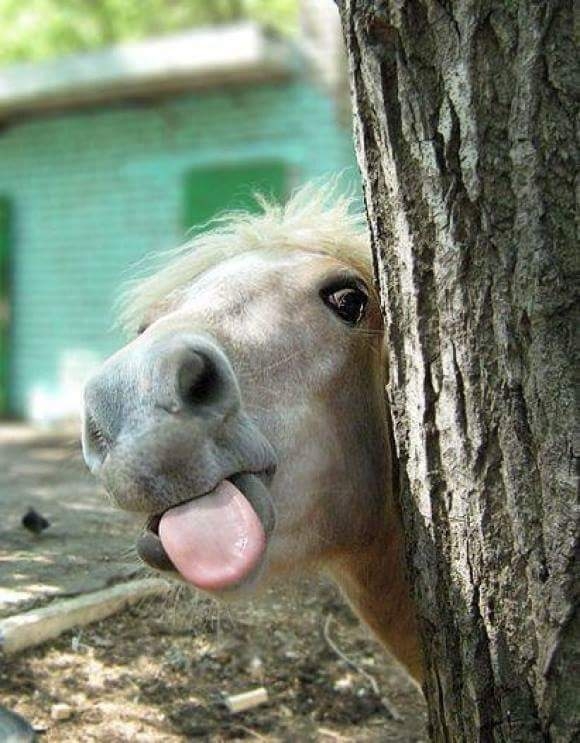 :)