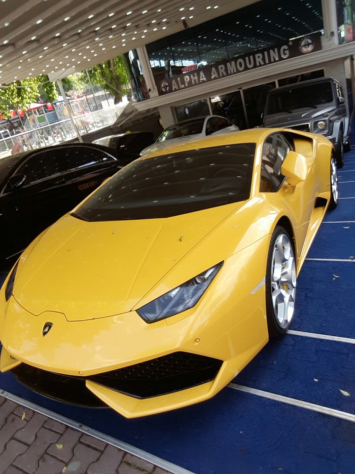 Lamborgini
