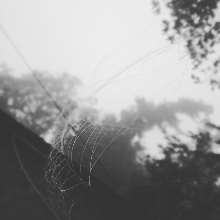 web