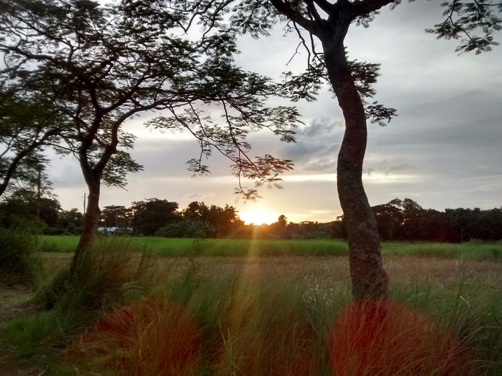 sun set