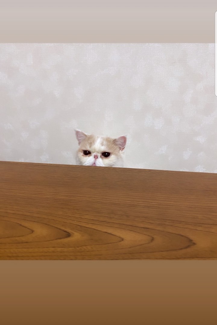 What are you looking at?