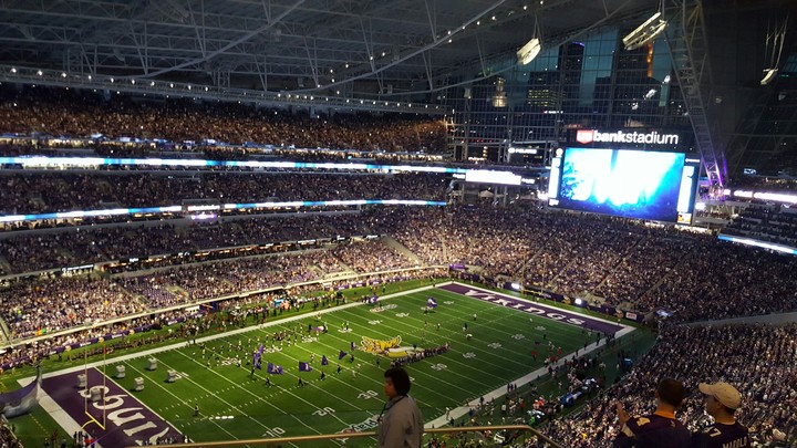 Vikings New Home Skol