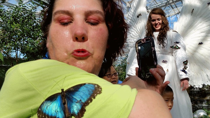 Butterfly