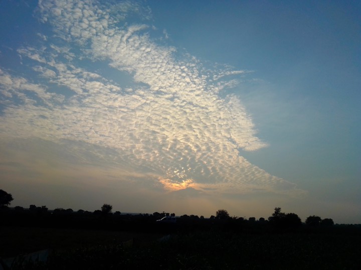 Evening