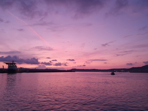 violet sunset 4K
