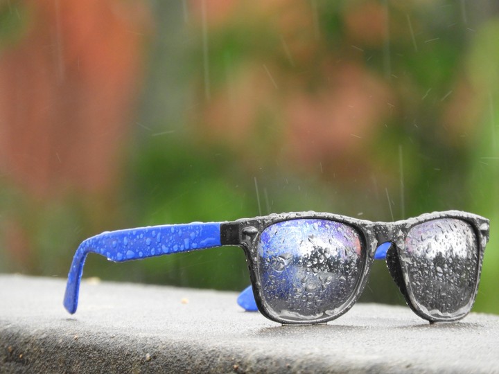 sunglass