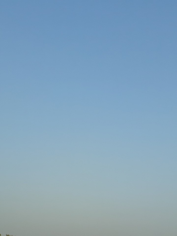 blue green
